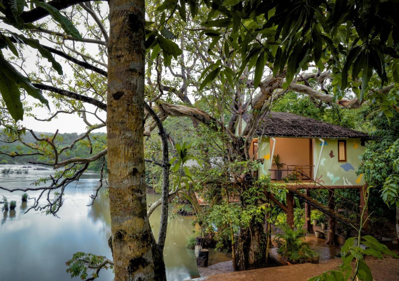 Whistling Woodzs Resort Dandeli Esterno foto